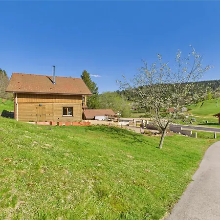 Metcy 12 Pers, Jacuzzi, 8km Gerardmer
