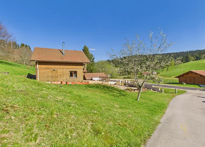 Metcy 12 Pers, Jacuzzi, 8km Gerardmer